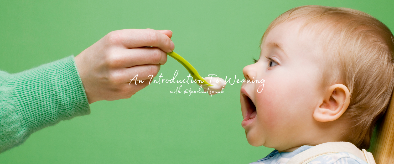 A Introduction to Weaning by Stacey Zimmels